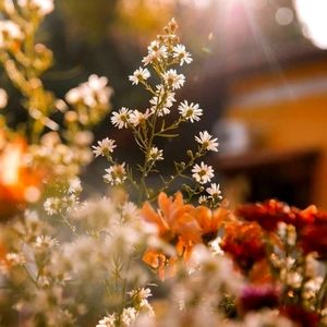 Meet your Posher, Madelyn